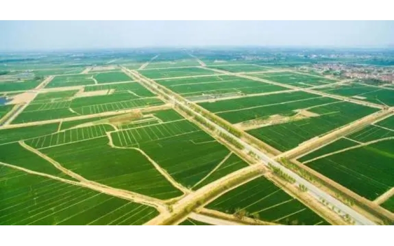 2021年利津縣鹽窩鎮(zhèn)0.7萬(wàn)畝高標(biāo)準(zhǔn)農(nóng)田建設(shè)項(xiàng)目施工與監(jiān)理